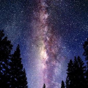 Meet your Posher, Edward